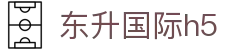 东升国际h5
